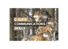 Master C Suite Communication Skills