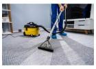Affordable Carpet Steam Cleaning Double Bay | Everdry