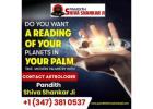 Palm Reading Specialists in New York