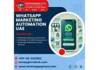 Is WhatsApp Marketing Automation Right for UAE Businesses?