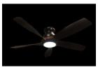 Best Price for Harrier Ceiling Fan