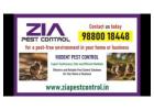 AD TITLE / HEADING	Bangalore Rodent Control | Safe & Effective Pest Control | Book Now  | 297