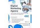 AQVA Marketing – Results-Driven Digital Marketing Agency