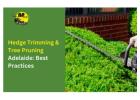 Looking for Hedge Trimming Tree Pruning Adelaide
