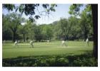 Cricket Turf Manufacturer - Custom Solutions for Your Ground
