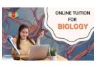 Online Biology Tuition – Class 12 Students, Build Strong Concepts with Expert Guidance