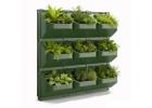 Wall Mounted Planters