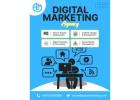 Complete Digital Marketing Solutions by AQVA Marketing