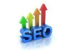 India SEO Service