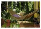 King Size Handcrafted Cotton Mayan Hammock with Elegant Tassels