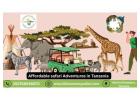 Affordable Safari Adventures in Tanzania
