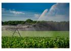 Effortless Kissimmee Irrigation for a Picture-Perfect Yard