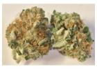 Buy Weed Online: Get Premium Strains at Green Dank Cannabis