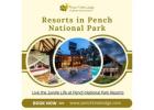 Resorts in Pench National Park – Book Your Jungle Stay Today