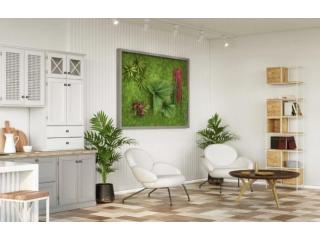 Plantas Liofilizadas