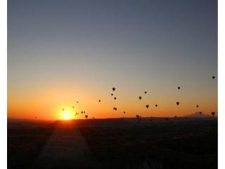 OM Sharavana Bhava Seva Trust Spreading Hope Through Service