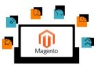 New Vision Digital: Your Reliable Magento Experts in India