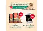 Ciambellina Snack 15 kg – Nutrizione Quotidiana per il Tuo Cane