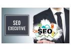 Outsourcing SEO Company in Dublin | HirePro Digital Marketers