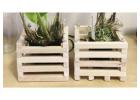 Vanda Basket: Mahogany Wood Baskets Designed For Excellent Orchid Airflow