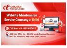 Professional Website Maintenance Service Company in Delhi
