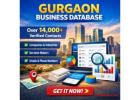 Download 14,218 GURGAON B2B Companies Data