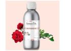 Raasa Oils 100% Pure Rose Fragrance Oil: Romance, Freshness & Timeless Aroma