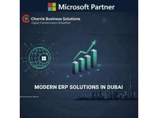 Secure, VAT-Ready ERP Solutions in Dubai | Cherrie Business Solutions