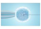 Best IVF Abu Dhabi