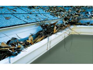 Affordable and Professional Gutter Services Available in Denver