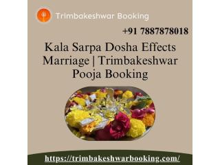 Kala Sarpa Dosha Effects Marriage | Trimbakeshwar Pooja Booking