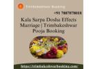 Kala Sarpa Dosha Effects Marriage | Trimbakeshwar Pooja Booking