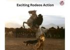 Experience Live Rodeo Action Near You