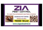 Cockroach Pest Control / Bed Bug Control / Termite Treatment / Call Now / 297
