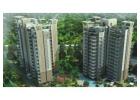 Unlock Premium Properties in Gurgaon with Naveen Associates