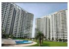 Hamlin Apartment Gurgaon Available for Sale / Rent