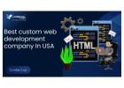 Best Custom Web Development Company In USA