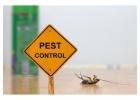 Pest Controling In Ras Al Khaimah