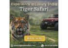 Book a Luxury India Tiger Safari – An Unforgettable Experience
