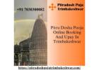 Pitru Dosha Pooja Online Booking And Upay In Trimbakeshwar