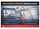 Employment Screening Services in Delhi – Reliable & Compliant Hiring Support