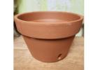 Orchid Pots: Crafted to Support Stable, Long-Lasting Growth for All Varieties