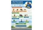 Trusted Pest Control Services in Lucknow by Trained Experts