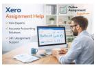 Professional Xero Assignment Help for Accounting Excellence
