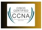 CCNA Course in India for Beginners and Freshers
