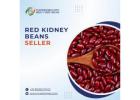 Red Kidney Beans – Premium Pulses for Global Trade & Bulk Supply