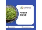 Premium Green Mung – High-Quality Pulses for Global Trade & Bulk Supply