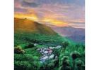 Hand-Painted Hillside Landscape Canvas Painting