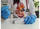 Kidney Disease Nephrology for Complete Renal Care