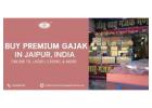 Buy Premium Gajak in Jaipur, India - Online Til Laddu, Chikki, & More